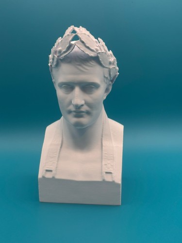 Busto napoleone bonaparte - 3d,